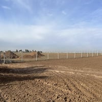 ارض زراعية • ٤ دونم • بنجا علي