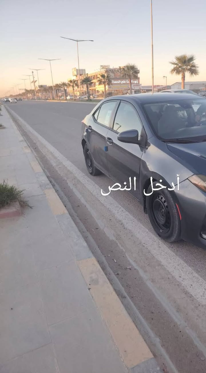 السلام عليكم كورلا للبيع السلام عليكم كورلا للبيع ***********
