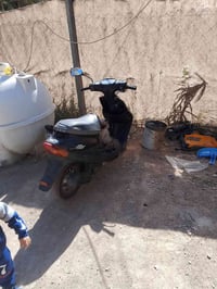 بيجي • شرط الفحص • بيه مجال