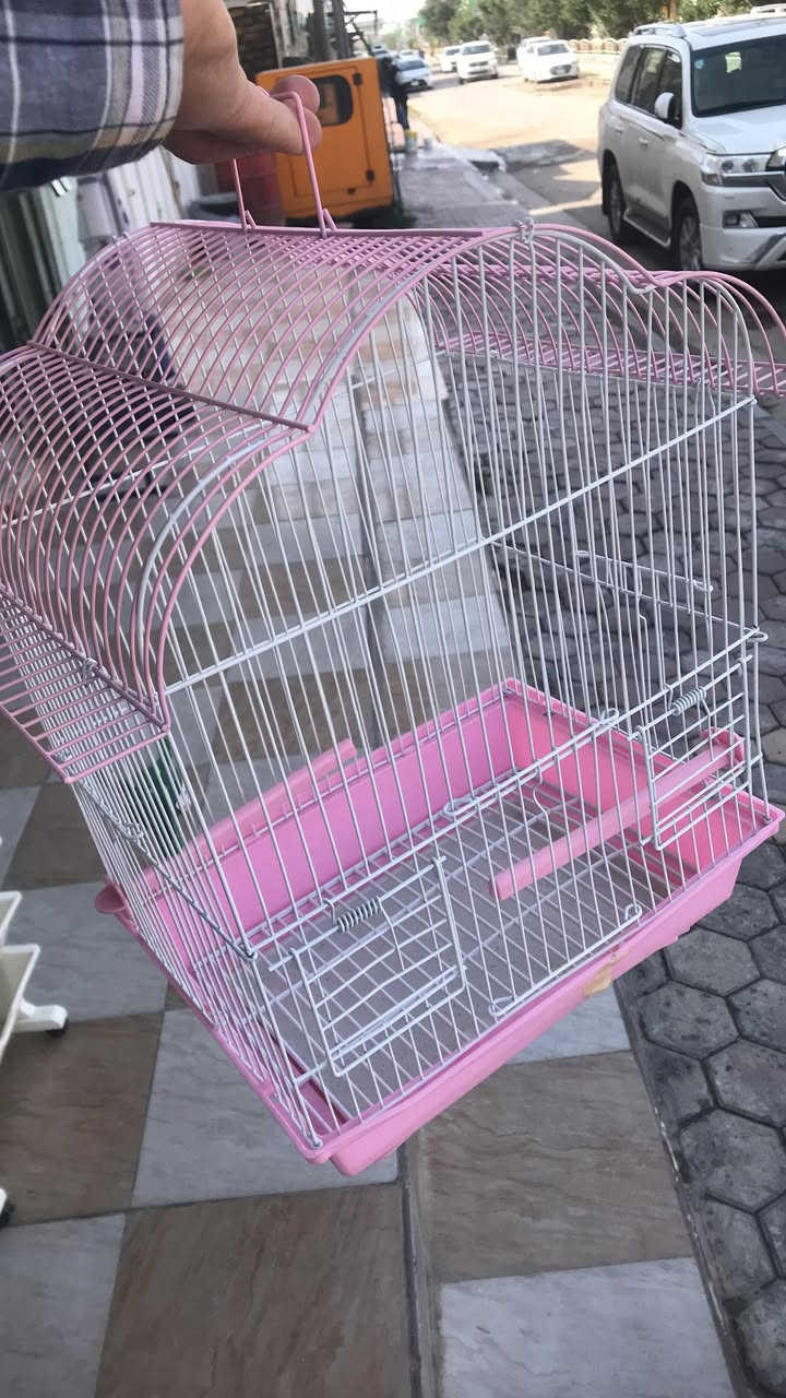 تنزيلات 
اخر قطعة 
5000 الف دينار


**إذا كنت صاحب هذا الإعلان وتريد حذفه لأي سبب، رجاءا أرسل رسالة إلى الدعم الفني**