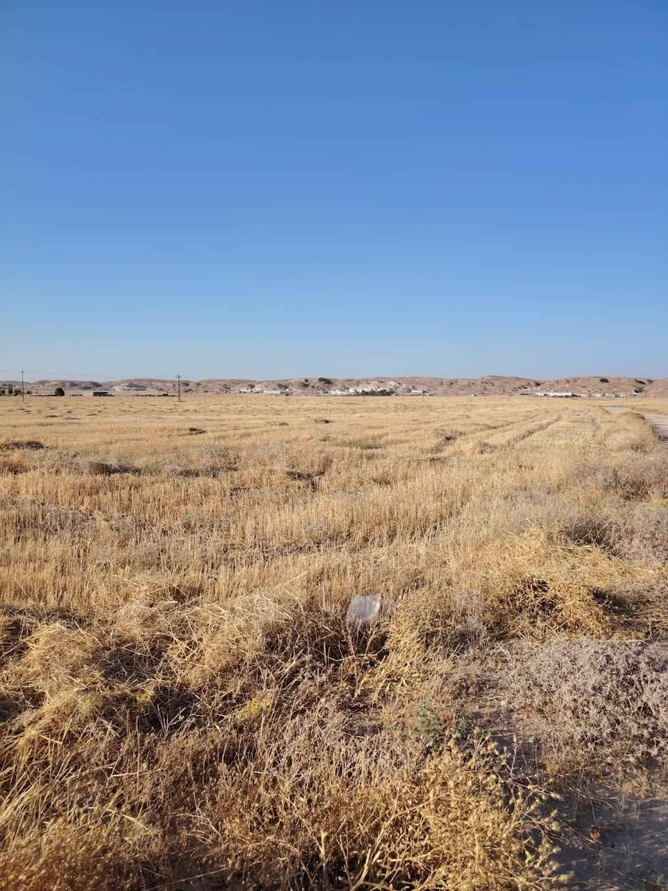 قطعه ارض للبيع زراعي مساحه ٤٠ دونم في كركوك ليلان خلف معمل غاز مسافه جوه قطعه ركن عليها شارع ترابي من طرفين كهرباء واصله اطرافه مزارع سعر دونم واحد ٣ مليون وينباع قطعه شلع للمزيد من المعلومات اتصال على رقم مبايل ***********
