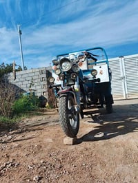 ستوته • موديل22 • أوراق أصولي