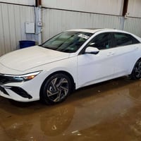 النترا • ٢٠٢٤ • مزاد أمريكي