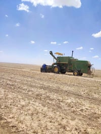 حاصودة جون دير • موديل ٨١ • محرك سليم