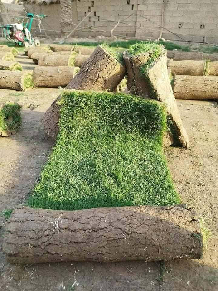 ثيل ديالى الطبيعي 🍀 متوفر كافة انواع الثيل
الثيل امريكي والهندي والايطالي والفرنسي
كادر متخصص :
لتجهيز... مشاتل🌴
والدوائر حكوميه🏦
منازل🏡 منتزهات🏄
موجود خدمة توصيل 🚕🚕 لكل محافظات العراق 
للطلب التواصل مع الصفحة او الاتصال على 
***********
***********
