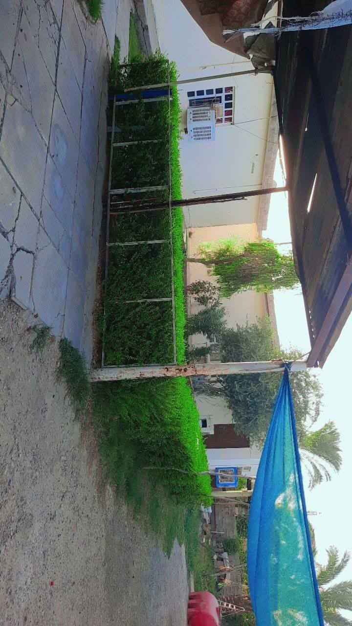 بيتين للبيع .المساحة ٧٠٠ متر مع حديقة .مع كافة الخدمات ماء مجاري وتبليط. العنوان الهارونية قرية صخر.
للتواصل.***********
