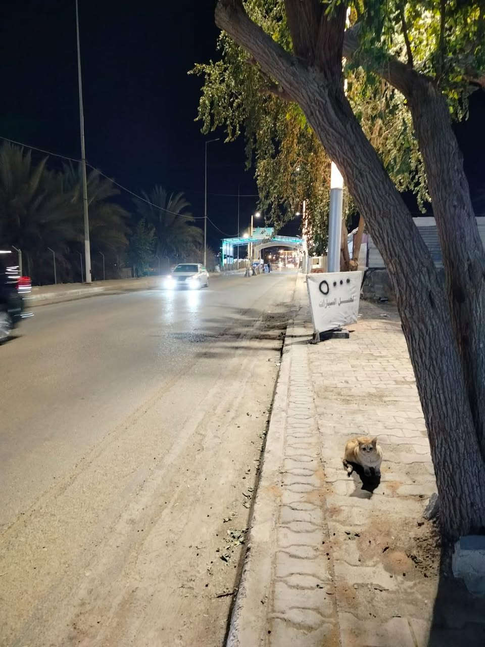 غسل للسيارات متواجدين من ساعه 9 صباح ال 12 الليل  يوجد شفت اليلي العنوان هيت حي البكر عبر الجسر للاستفسار الاتصال بالرقم ***********
