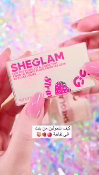 ميكاب • تنت