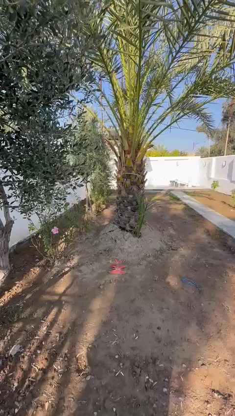 ⸻
🏡 دار للبيع – فرصة مميزة
من الصرح العقاري

📍 العنوان:
الشيخ حمد – شارع البوجميل
قرب جامع أبو ياسر

📄 الملكية: ملك صرف
📐 المساحة: 500 متر مربع
🏗 الحالة: بناء قديم مترمّم

🔹 يتكوّن المنزل من:
 • صالة
 • مطبخ
 • هول داخلي
 • غرف نوم (عدد 2)
 • حمّام
 • مرافق
 • صحيات خارجية

💰 السعر: 130 مليون دينار
🔻 قابل للتفاوض

📞 للاستفسار والتواصل:
حيدر الساعدي 
📱 اتصال أو واتساب ***********
