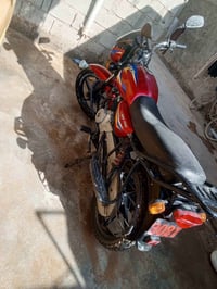 بوكسر ٢٠٢٠ • كفاله • بعقوبة