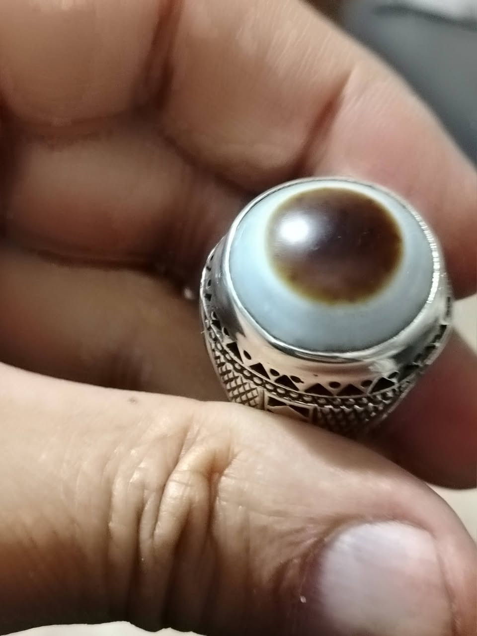 جزع يمازي حر قديم


**إذا كنت صاحب هذا الإعلان وتريد حذفه لأي سبب، رجاءا أرسل رسالة إلى الدعم الفني**