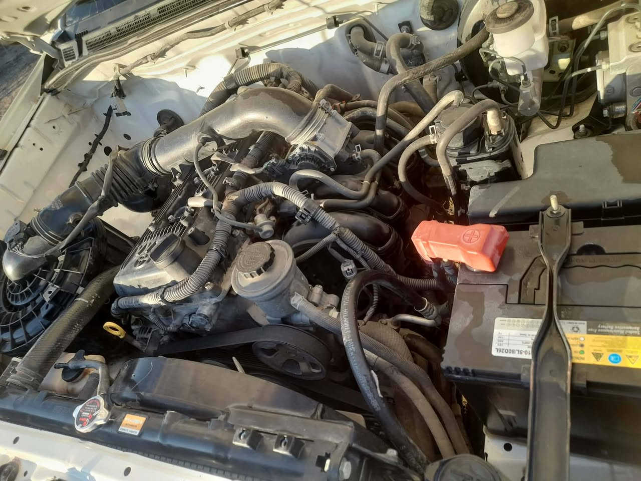 موديل 13 مكينه وگير كفاله حداديه تخم تاير رقم واسط باسمي مصفره سنويه جديده
فقط تبديل جاملق وبنيد بدون صبغ 

العنوان واسط- الكوت 

السعر 175 وبيها مجال

التواصل على الرقم 

***********
