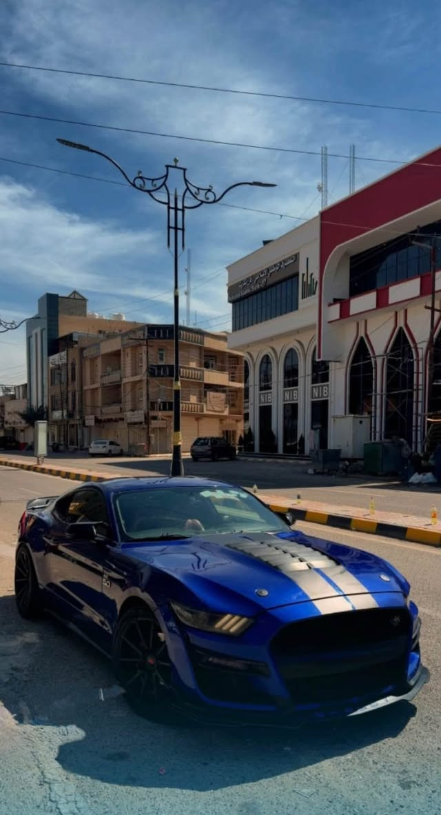 موستانك موديل 2016 
V6 3700
ماشية 145 الف كيلو  
رقم سليمانية سنوية هزة براد جديدات
السيارة مو حزام بس اني ابيعها صبغ حزام
مراوس بااربع بيبان
هواي بيها اضافات وكماليات 
السعر 135
مكان اربيل وكركوك
*********** كركوك, العراق
