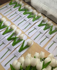 شموع معطرة • إلفين