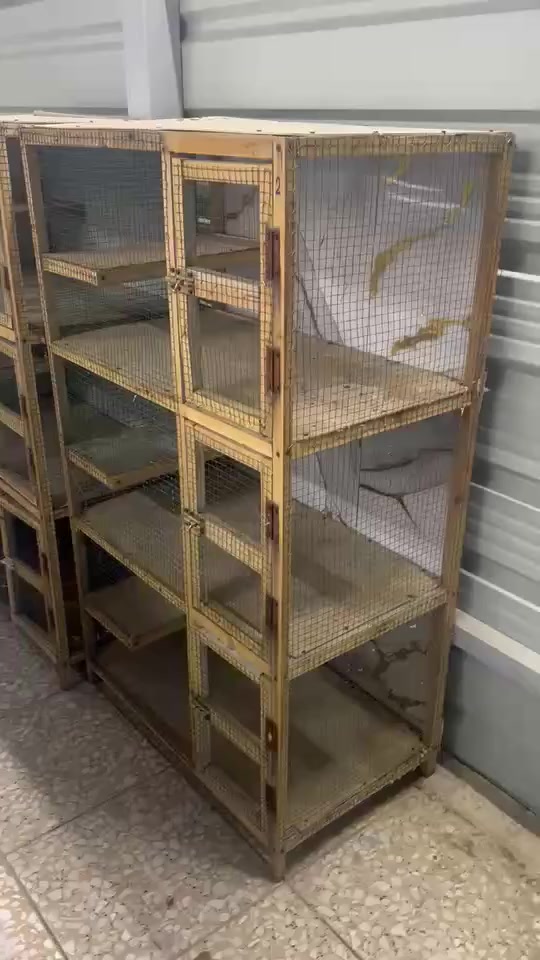 السلام عليكم من رخصة مدير الكروب خانات للبيع التفاصيل داخل الفديو. ***********. بي واتساب
