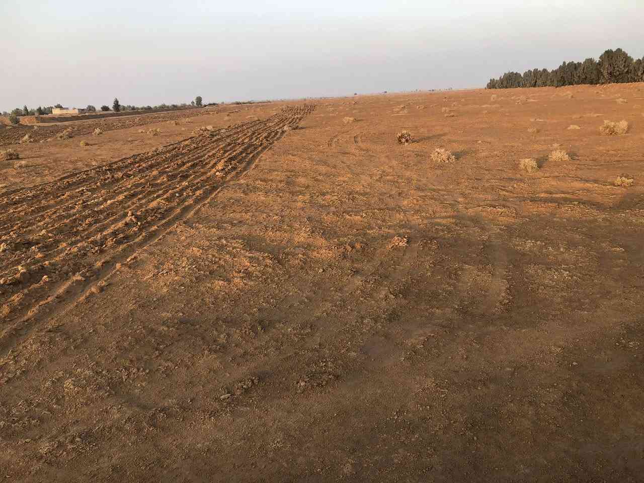 السلام عليكم 
ارض زراعية للبيع ١٥دونم فارغة ما بيه بير باسمي بداية طريق معمل كار جهةٍ اليسار تبعد عن الشارع ١كيلو السعر ١٥ مليون قفل للاستفسار الاتصال على الرقم 
***********
يتوفر واتساب
