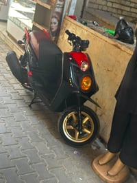 سگلس جبلي • ٢٠١٣ • جديده