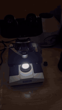 لا دوخ ولا تحتار عيادة سمرة هيه الاختيار ..

مراجعينا الاعزاء مربي الاغنام و الابقار و الماعز ..

اذا حلالك يعاني من اطراح ..

او امراض مزمنه.. 

توفر لكم عيادة سمرة البيطرية و لله الحمد احدث الاجهزة طبية للتحليلات المرضية و الكشف الطبي السريع و الدقيق .. 
الكشف عن المسبب الرئيسي و العلاج الدقيق .. هو سر النجاح 

تعال و ادلل حلالك ب امان يم عيادة سمرة البيطرية 

دكتور محمد أنس ***********3
دكتور فواز خالد ‭ ***********
