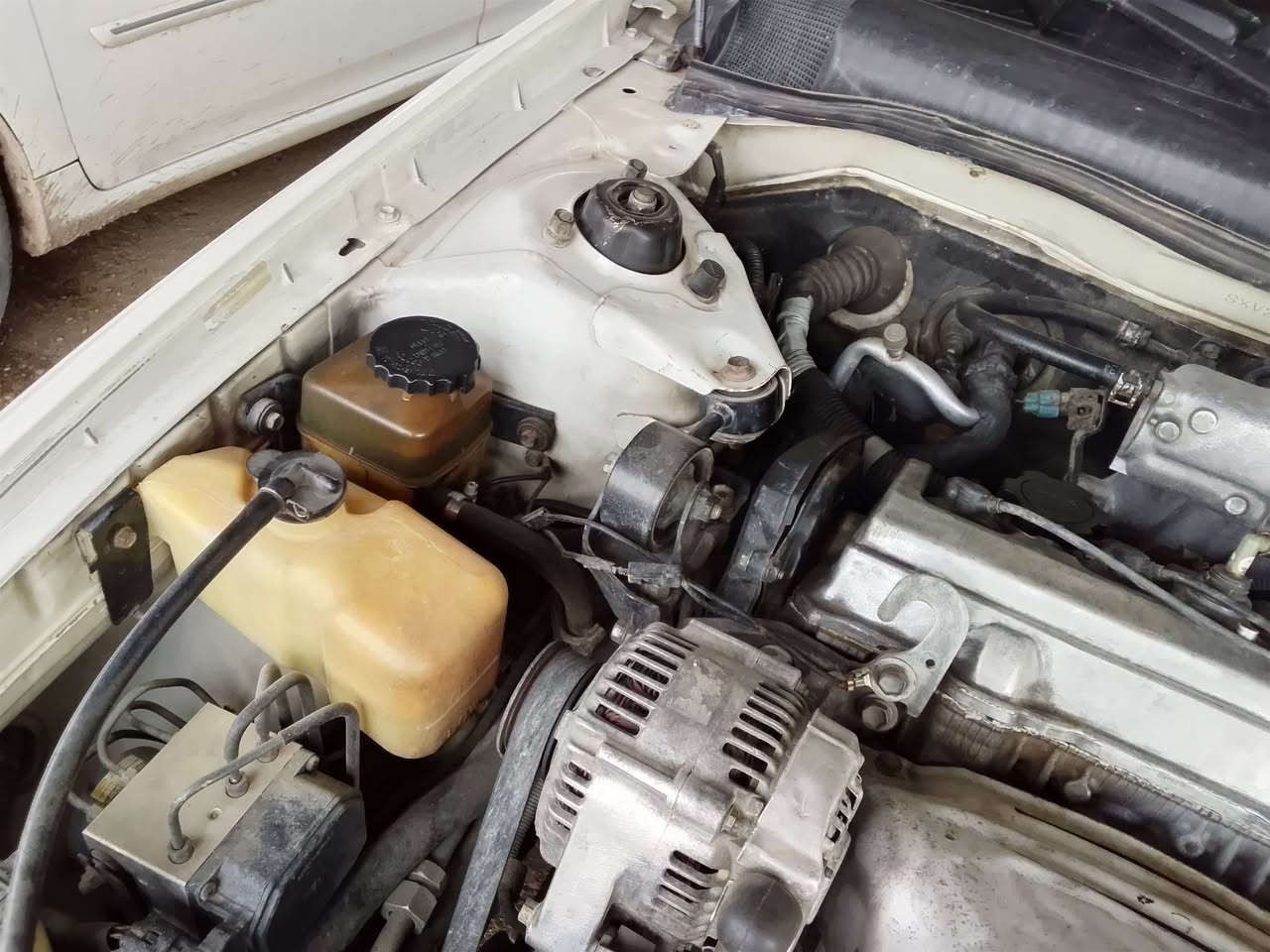 السلام عليكم كامري موديل ٢٠٠١ وارد امريكي رقم بغداد انگليزي محرك ٢٢٠٠ البو الكف محرك والگير مگفولات لاتنقيص ولاتبخير صدر جديد السيارة صبغ عام جمالي على ايدي تدفئة تبريد شرط السيارة ابلادي  المكان صلاح الدين بيجي  السعر 88 سنوية لغاية2026 الشهر 8 ***********  تجي اتشوف ابعينك السيارة احلا من الصورة
