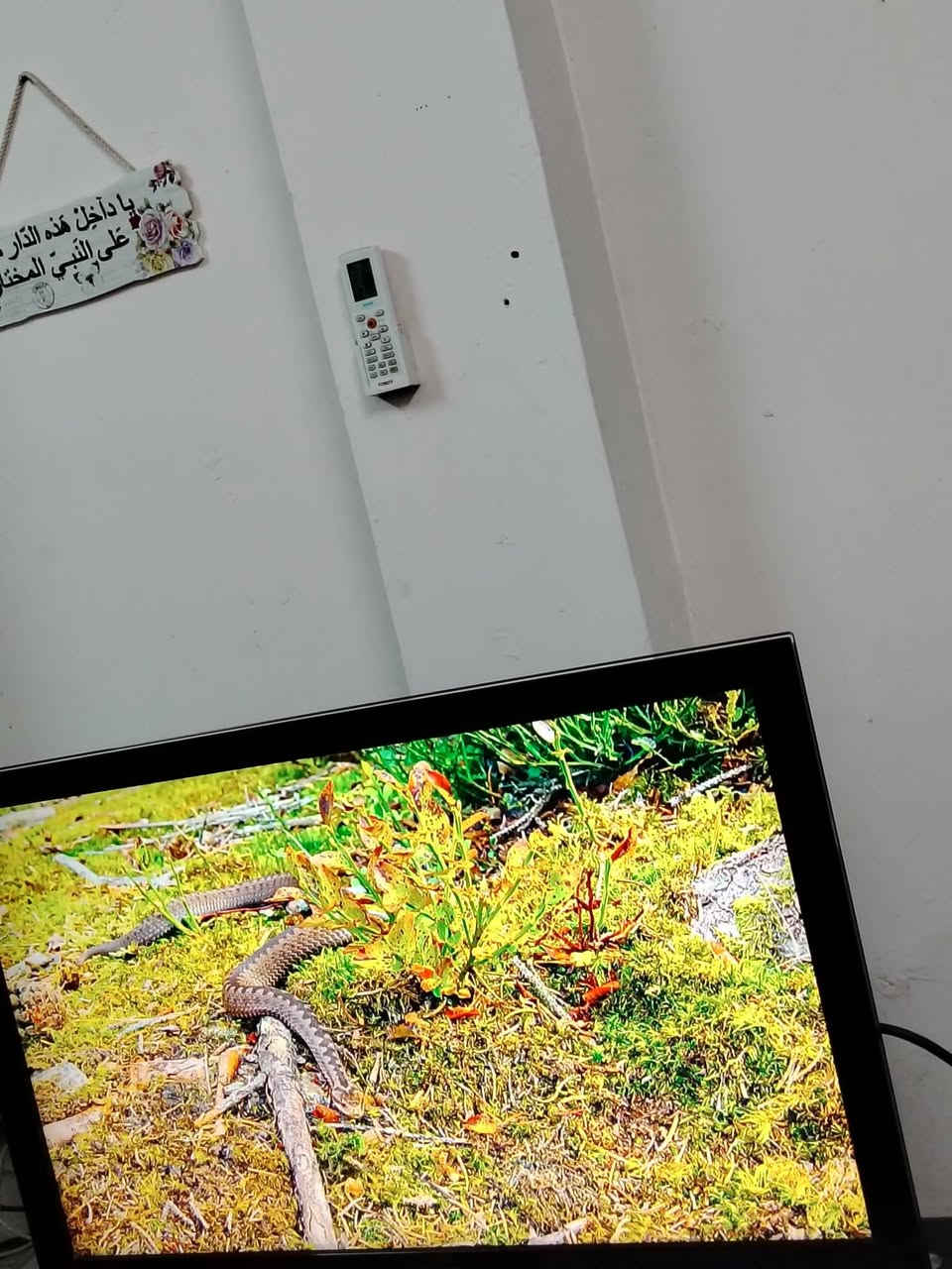 شاشة سامسونك حجم 40  سعرة 350


**إذا كنت صاحب هذا الإعلان وتريد حذفه لأي سبب، رجاءا أرسل رسالة إلى الدعم الفني**