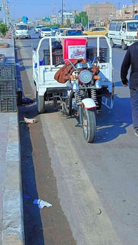 موديل ٢٠١٩ • أوراق كاملة • ناصرية مركز