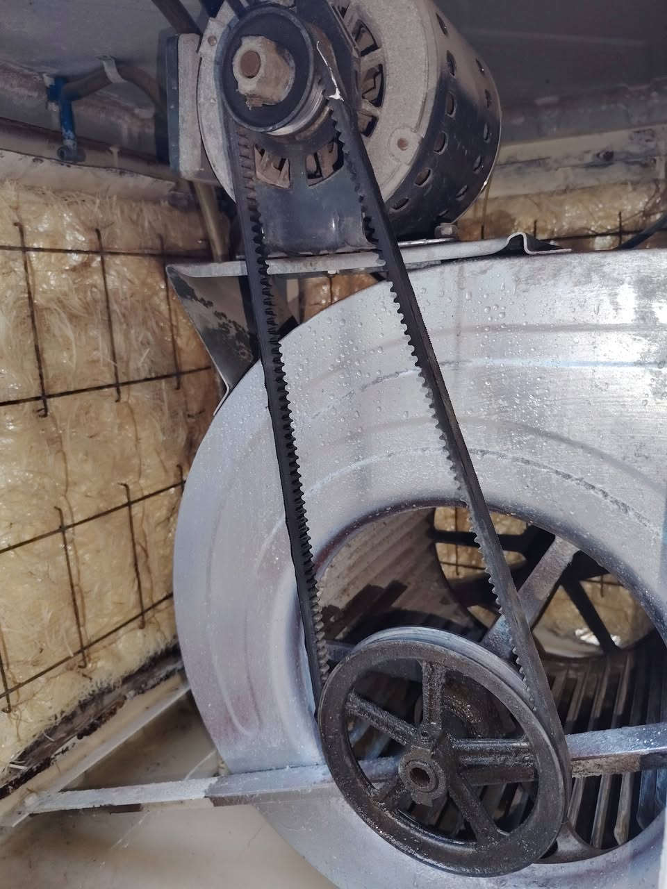 للبيع الونا شركة الحياة حجم 2ونص ماطور بلادي ممصلح...سرعتين. حلفات جديدة. جاهزة بس خلي مي وشغل. *********** الرقم مغلق واتساب فقط.
