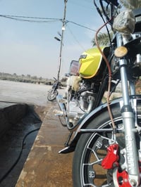 سافان • ٢٠٢٤ • كفاله