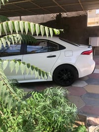 كورلا 2025  فول خليجي شكل الامريكي  داخل مشمشي رقم بغداد تحويل مباشر  ...