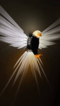 ديكور منزلي • توصيل مجاني • حجز بالخاص