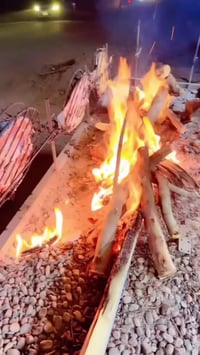 اهلاً وسهلاً بكم🤍 نستقبل طلباتكم يومياً من ساعة 2  الظهر  الى 10 مساء ...