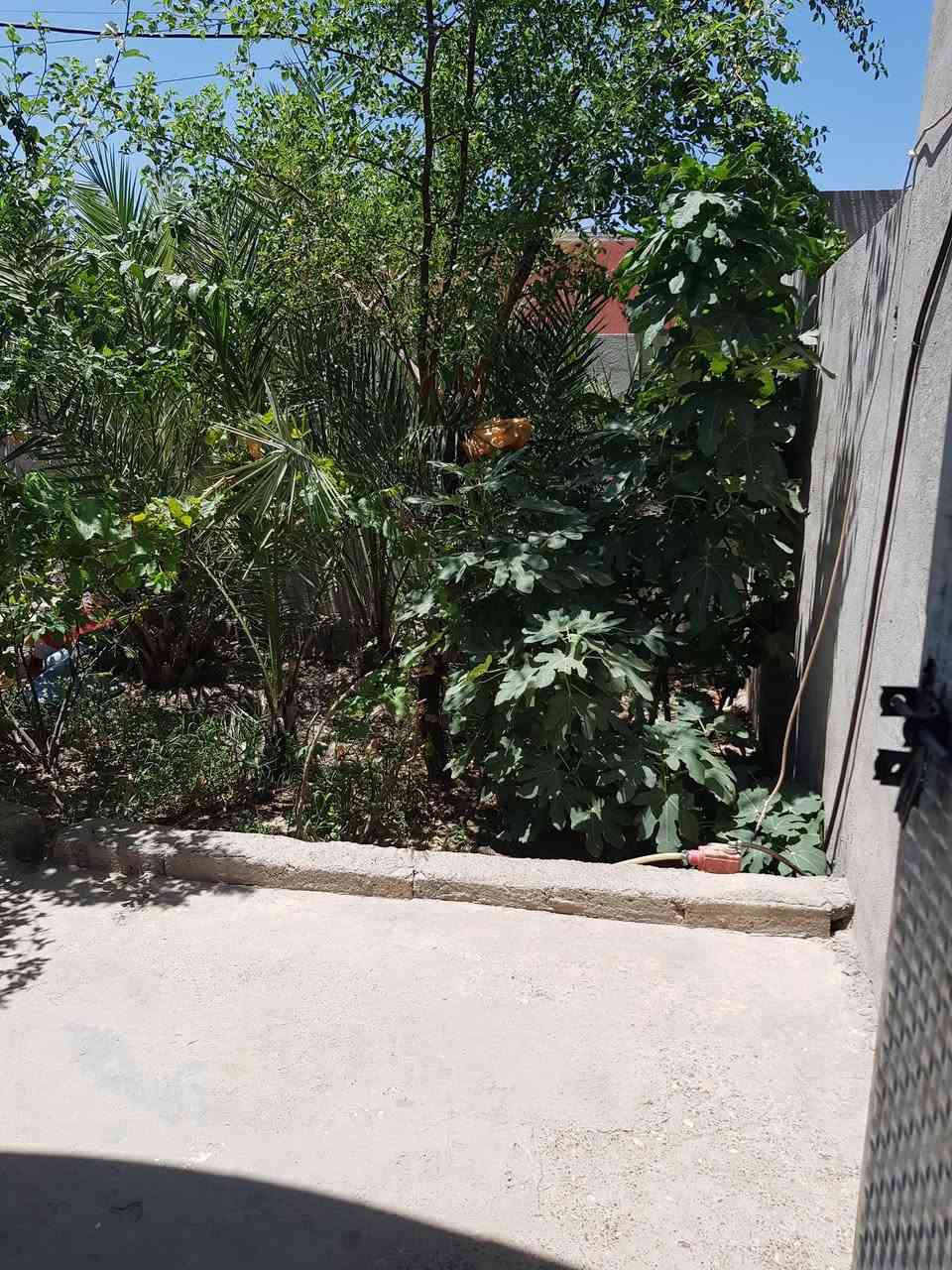 👈بيت اليجار 👉بلزراعي مال بيت عبد الحر بلبدايه 200 متر غرفتين نوم وستقبال ومطبخ وحولي وترك كراج حديقه كهرباء ماي جاهز البيت يجاره 200 الف قفله اتصال برقمي او خاص عادي بي وقت ***********👉
