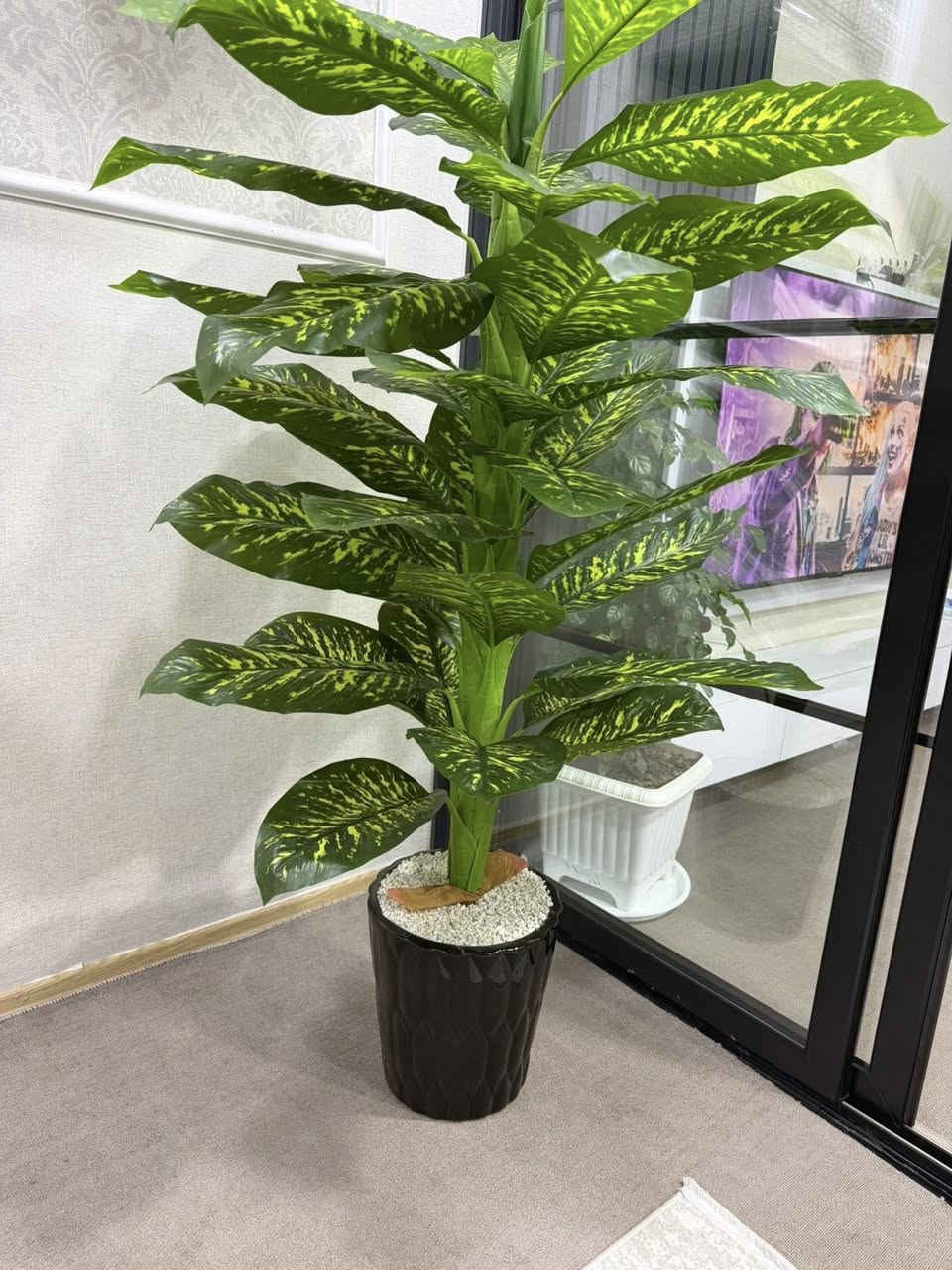 ئەو مەرکانو گولە ئەفرۆشم لە هەولیرم


**إذا كنت صاحب هذا الإعلان وتريد حذفه لأي سبب، رجاءا أرسل رسالة إلى الدعم الفني**