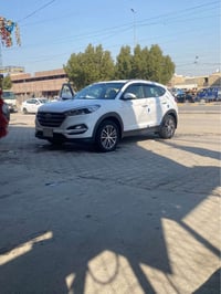 توسان ٢٠١٧ • ٨٨٠٠٠ كم • نجف الوفاء