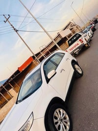 ٢٠١٤ • ٧ راكب • بدون صبغ