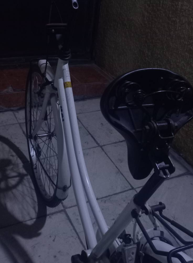 *********** بغداد, العراق
