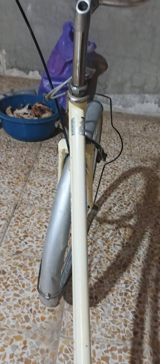 سلام عليكم باسكل للبيع حجم 26 باسكل نصيف مال روحه وجيه باسكل مايعوزو شي السعر 70 وبي  مجال مكاني حي انتصار شارع 30


**إذا كنت صاحب هذا الإعلان وتريد حذفه لأي سبب، رجاءا أرسل رسالة إلى الدعم الفني**