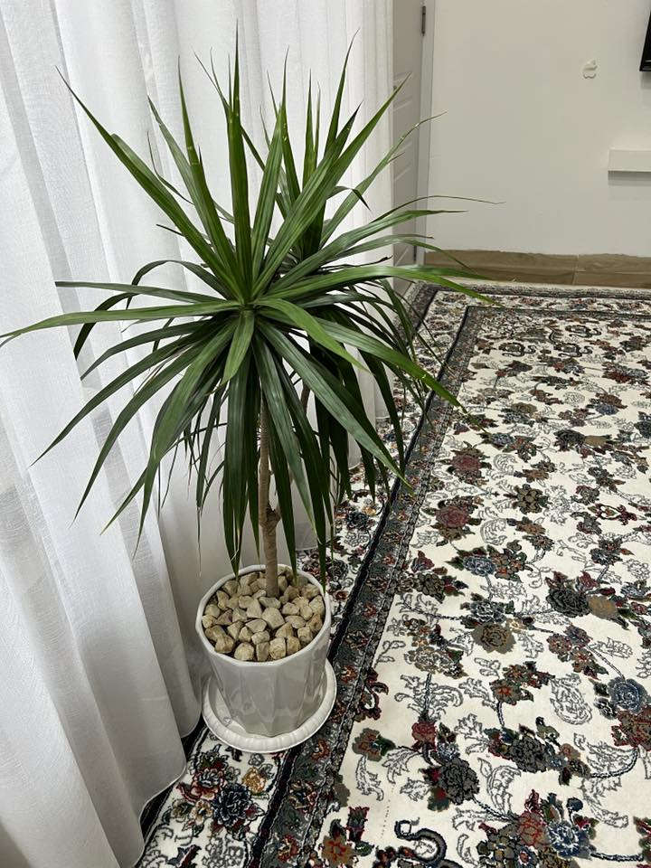 بۆ فرۆشتن
سلێمانی
***********
