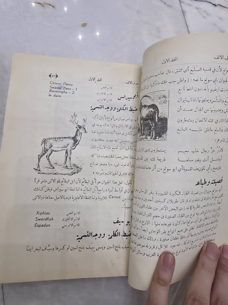 تجليدي 🤨


**إذا كنت صاحب هذا الإعلان وتريد حذفه لأي سبب، رجاءا أرسل رسالة إلى الدعم الفني**