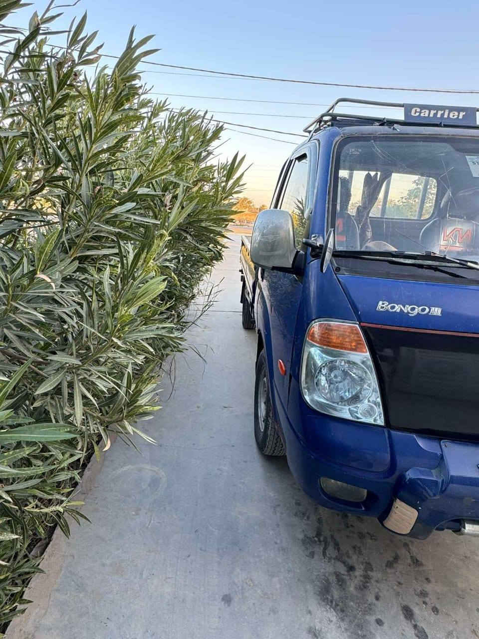 سلام عليكم كيه بنكو  موديل 2007 رقم ديالى سياره خير من الله مال جناي مابيها نقص مكاني  ديالى/ سيف سعد  السعر 83 بيها مجال للطيبين مكلف بالنشر وهذا رقم صاحب السياره ***********
