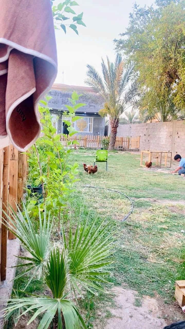سلام عليكم دار البيع
دار لبيع  مساحه 550متر
البيت طابق ونص  طابو زراعي سند 25
البيت حديث بنا درجه اولى 
محتويات الدار حوش مساحه كبيرة +حديقة
استقبال +مطبخ حار بارد +صاله + 3 غرف +ترك عدد 2 علي طول البيت. 
السعر 210 وبي مجال
مكان الوسمة والنواط قرب منطقه الشعب
الاستفسار ‏‪‏‪***********‬‏
