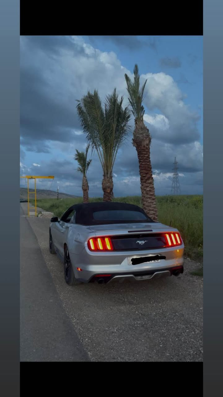 112000,mill يا جوي
سعر ١١٤ورقة مجال رقم دهوك تحويل شرت 
***********
واتساب كورك
***********
تبديل ژي يا هه ي دهوك, العراق

