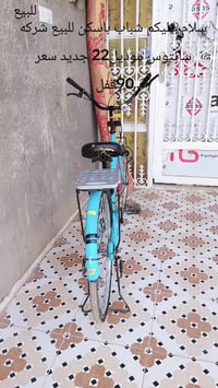 سانتوس • باسكن • جديد