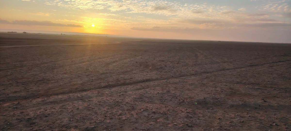 مكلف للنشر 
ارض زراعية للبيع
الموقع قرب قرية الهطور
واصلها تبليط
المساحة 50دونم
سعر الدونم 800الف وبي مجال
اتصال ***********
