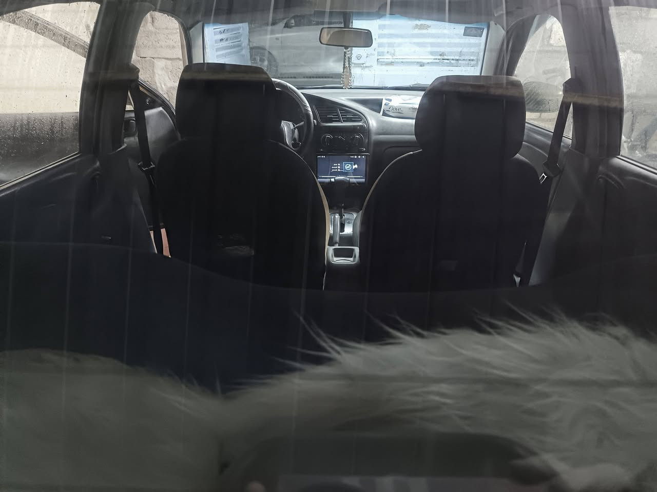 السلام عليكم ( دايو لانوس 2001 ) للبيع محرك كير نضيفات كهربائيات شغالة غرفة نظيفة مشدودلهة شاشة و كامرة خلفية تبريد منقص غاز تايرات نظيفة الرقم انكليزي الجديد تحويلهة بأي مكان مصفرة غرامات
السعر 36 ورقة و بيهة مجال للطيبين و مراوس حسب القناعة
مكان بغداد للتواصل ***********
