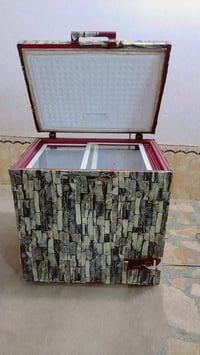 مجمدة • شغالة • فول تجميد