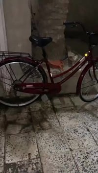 بناتي • ٢٠١٩ • جميله بغداد