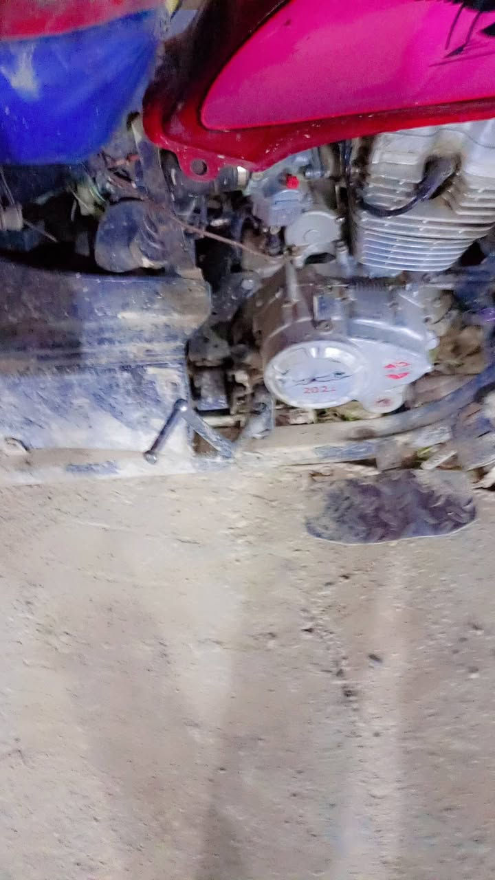 ستوتة صقر 2019مكينه 21جديده كلهة شغاله خير من يم الله ***********
