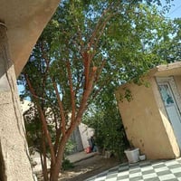 حي المهندسين • ٣٠٠م • طابو ملك صرف