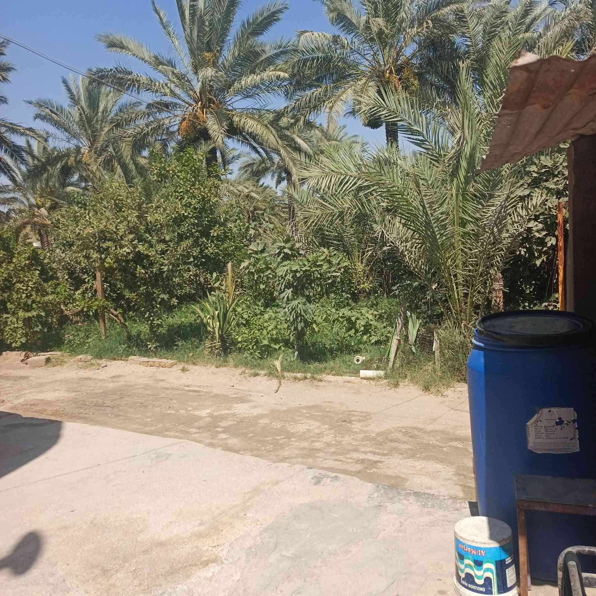 بيت معروض للبيع طابو زراعي المساح الكليه 650مساحت البنا 300بي صاله 13في4ونص بي 2غرف مساحتهن 5في4 ومطبخ5في4كامل البيت بيه بس المطبخ ما كامل المكان قضاه القاسم الجسميه قرب ملعب محمد حسون الاستفسار الاتصال عله الرقم ***********السعر خاص
