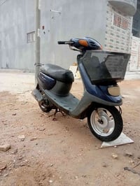 منغولي • نظيفه • فيها مجال